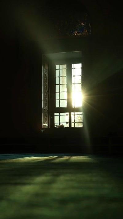 Video 24